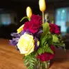 Jane Dodson - @jane.dodson - TikTok