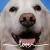 Jane Reed Dodson - @user55648259 - TikTok