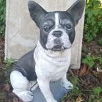 Jane Doherty - Facebook