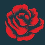 Jane Doherty - Facebook