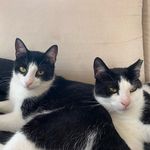 JDoc - @jane_doherty - Instagram