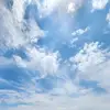 JaneDole - @mrz_j007 - TikTok