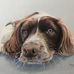 Jane Donaghy Art - Facebook