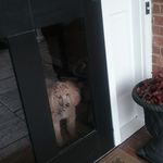 Jane Doty - @janedoty - Instagram
