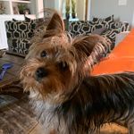 Jane Senteney Doty - @_janedoty - Instagram
