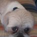 Jane Dover - Facebook