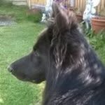 Jane Dowell - @janedowell1 - Instagram