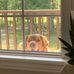 Janet Dowell - Facebook