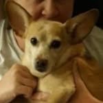 Jane Dowler - @jedowler42 - Instagram