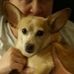 Jane Dowler - Facebook