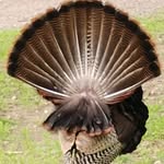 Jane Downes - @jane_downes - Instagram