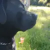 Jane Downes - @jt.d.101 - TikTok