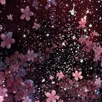 Jane Driver - Facebook