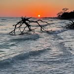 Jane Dudley Kobrin - @jlk8286 - Instagram