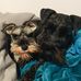 Jane Duff - Facebook