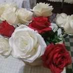 Jane Dyal - Facebook