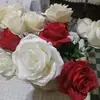 Jane Dyal - @jane.dyal - TikTok
