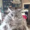 Jane Eagle - @jane.eagle0 - TikTok