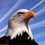 Jane Eagle - @janeeagle3000 - Instagram