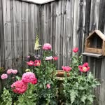 Jane Eagle - @janeeagle1 - Instagram