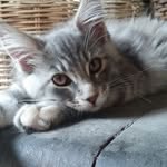 Jane Eagle - @fuselgig - Instagram