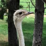 Jane Earl - @jane.earl.71 - Instagram