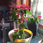 Jane Easley - Facebook