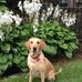 Jane Eason - Facebook