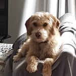 Jane Eaves - @janeeaves18 - Instagram
