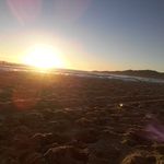 Jane Ebert - @janescanebert - Instagram