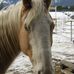 Jane Eby - Facebook
