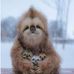Jayne Eby - Facebook