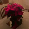 racheljaneeger - @racheljaneeger - TikTok