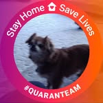 Jane Eller - @rosanajane42 - Instagram