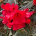 Jane Exley Spiritual Medium - Facebook
