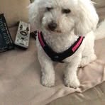 Jane Feeney - Facebook