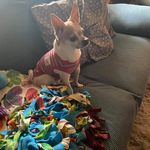 Jane Fetty - @janefetty - Instagram
