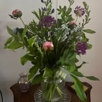 Jane Finan Mullin - @janefmullin - Instagram