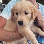 Finley Jane 🐾 - @lifewithfinleyjane - Instagram