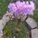 Janie Finley - Facebook