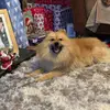 xX._Finn_jane_.Xx - @xx._finn_jane_.xx - TikTok