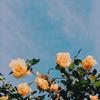 Jane.Firestone - @jane.firestone - TikTok