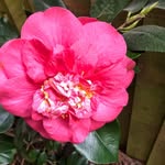 Jane Firth - @esjanef - Instagram