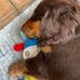 Jane Fishburn - Facebook