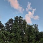 Jane Fishburne - @janefishburne - Instagram