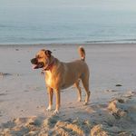 Jane Reardon Flaherty - @janeflaherty360 - Instagram