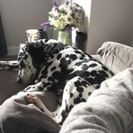 Jane West - @jane.west.fleck - Instagram