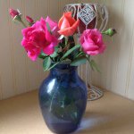 janefleury50 - @janefleury50 - Instagram