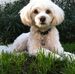 Janie Fogelson - Facebook