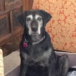 Jane Folk - @janefolkmemphis - Instagram
